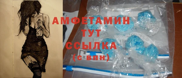 твердый Ельня