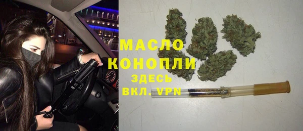 твердый Ельня