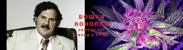 твердый Ельня