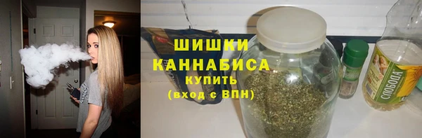 твердый Ельня