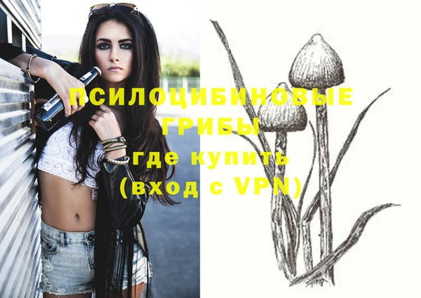 твердый Ельня