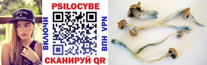 Купить где  Радужный  Галлюциногенные грибы Magic Shrooms 